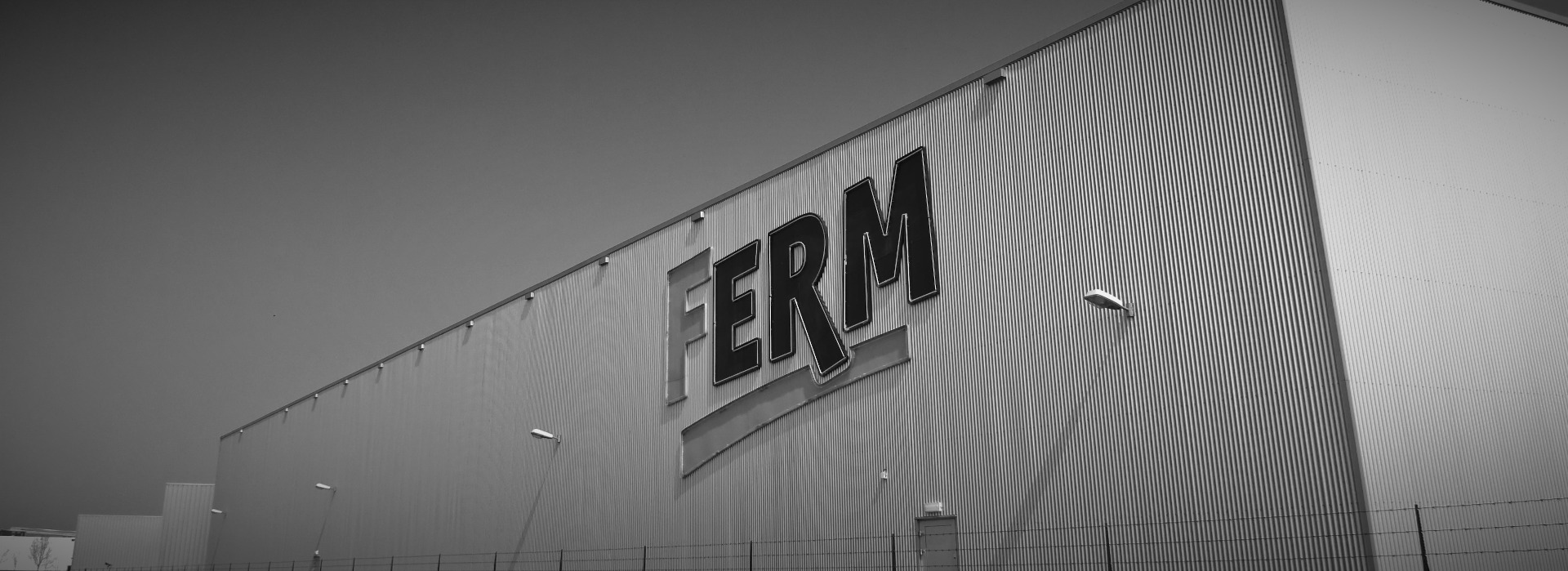 Ferm - FERM Coupe-carrelage 900W (Refroidi à l'eau) – TCM1011 -  Rainureuses, tourillonneuses, fraiseuses - Rue du Commerce